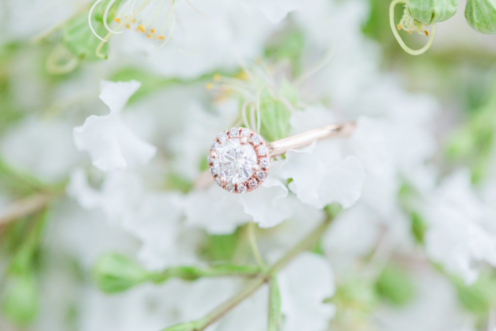 View More: http://abbywallerphotography.pass.us/brittany-and-cayse-e-session